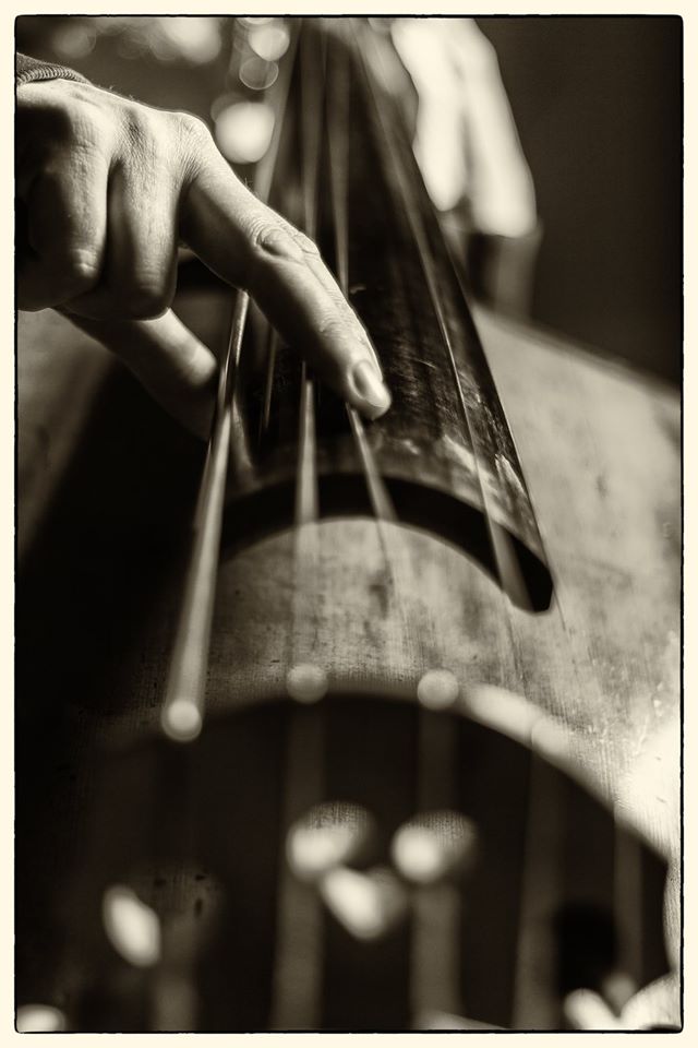 doublebass